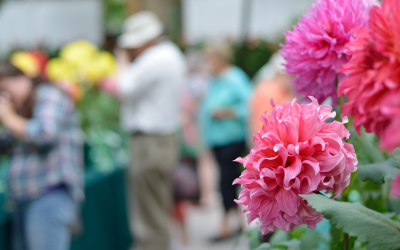 Budget-Friendly Craft Show Booth Ideas